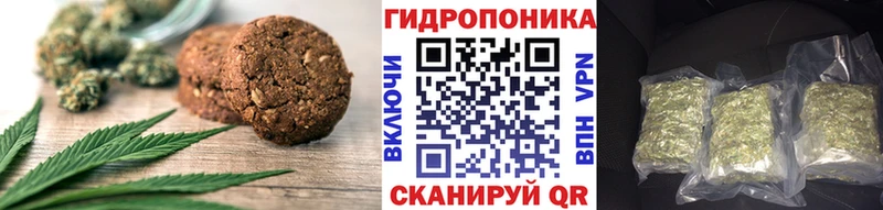 МЕГА tor  купить   Пушкино  Canna-Cookies конопля 