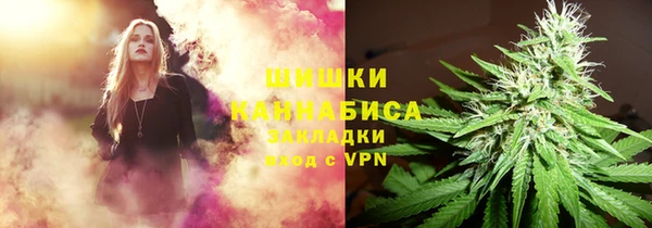 2c-b Заводоуковск