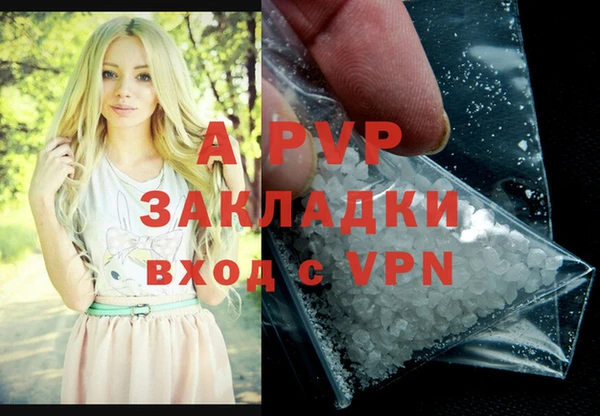 амф Зерноград