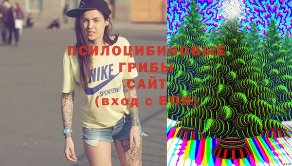 2c-b Заводоуковск