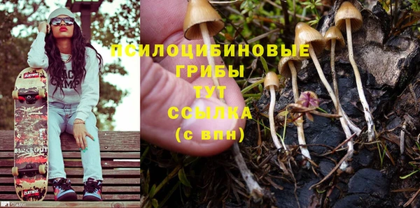 2c-b Зеленокумск