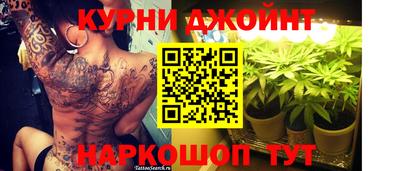 spice Гай