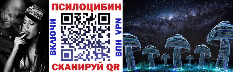 кракен   Пушкино  Псилоцибиновые грибы мухоморы 