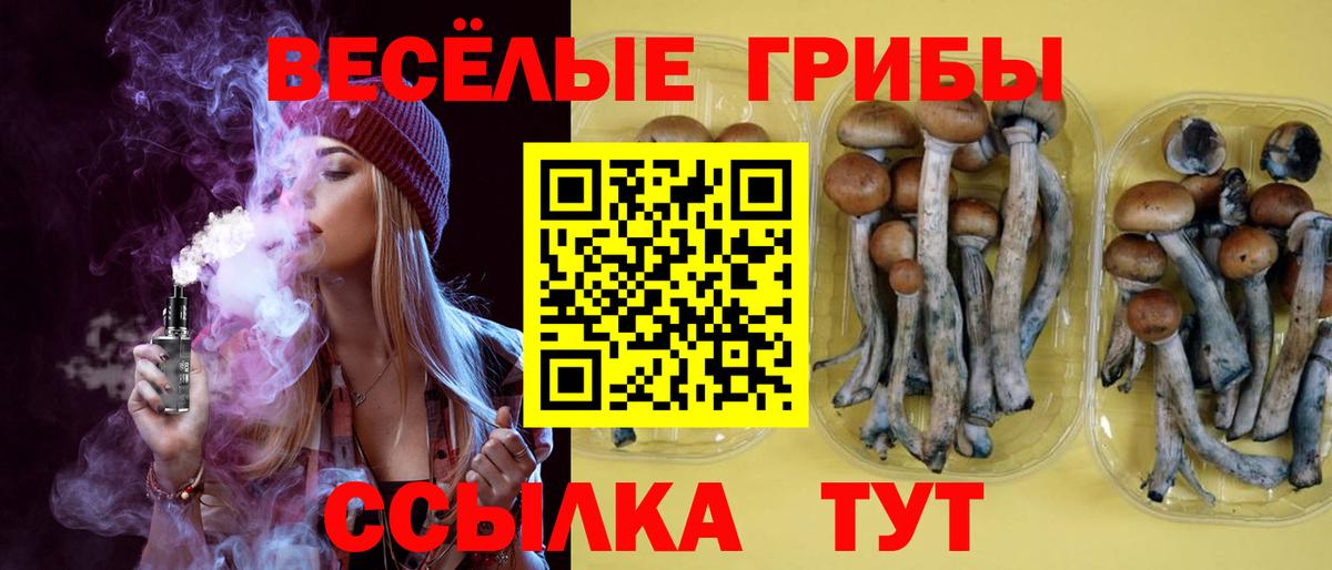 Псилоцибиновые грибы ЛСД  Вход с VPN  Пушкино 