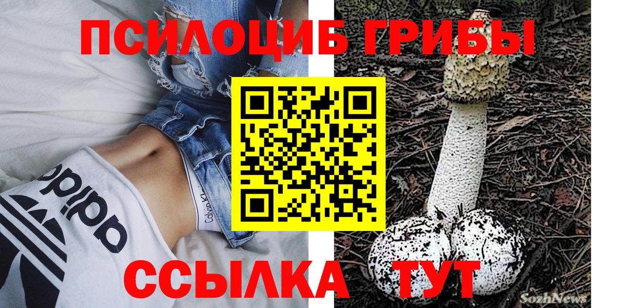 Галлюциногенные грибы MAGIC MUSHROOMS  Пушкино  Галлюциногенные грибы прущие грибы 