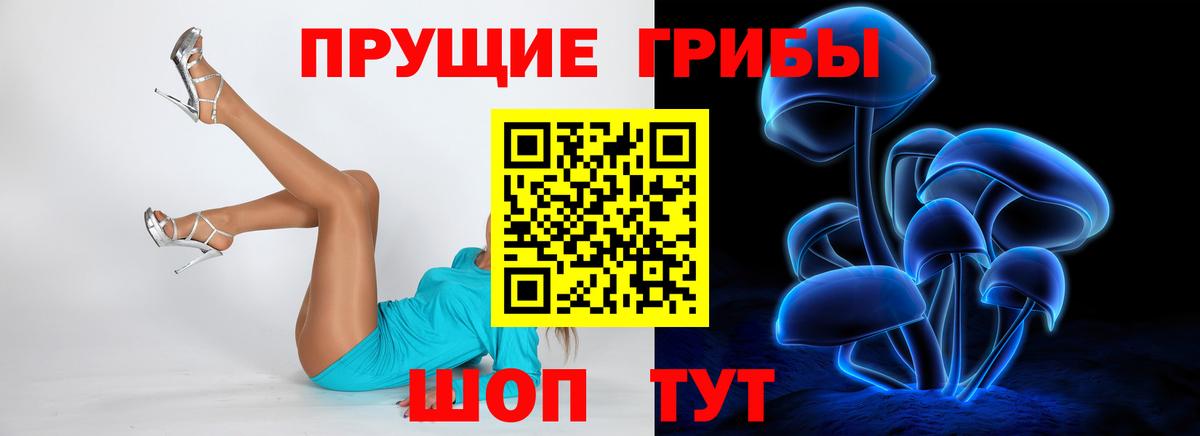 Псилоцибиновые грибы Magic Shrooms Пушкино